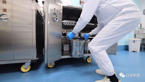 日本的孩子不吃盒飯,來看看日本的食品加工廠,是如何制作中小學生午餐的