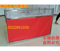 商場(chǎng)促銷(xiāo)花車(chē)優(yōu)質(zhì)商家置頂推薦 多功能手推車(chē)